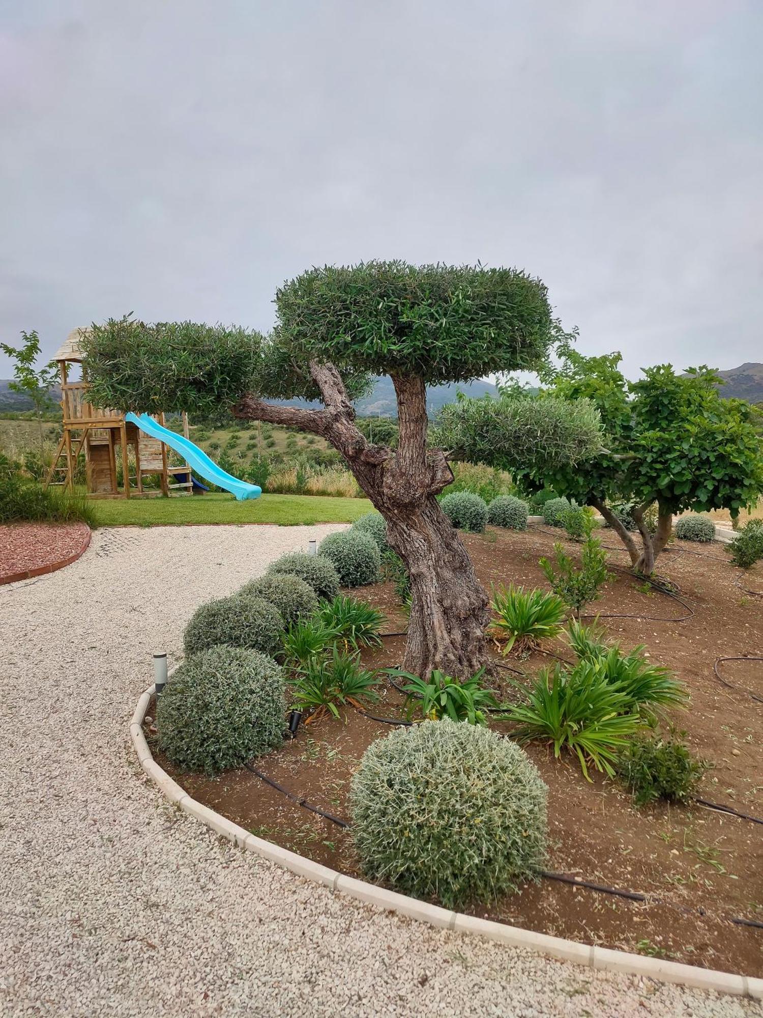 Vila La Marabulla Ronda Exteriér fotografie
